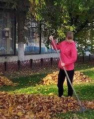 Операция «Листопад»