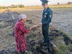 Хойники. Чтобы пал не напал