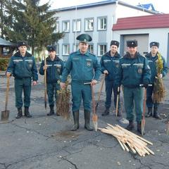 Хойники.  Деревья, посаженные нами