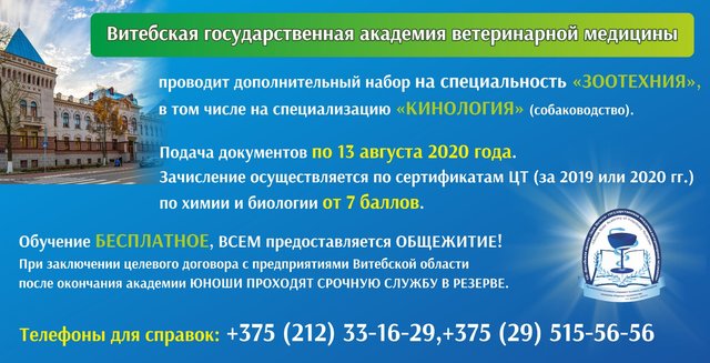 Профориентация Профориентация